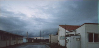 Torture at Lake Alice “Hospital”, New Zealand