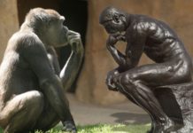 Do Antidepressant Medications Prolong Depressive Episodes?