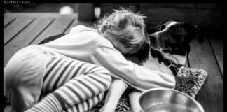 Pets More Effective for Grief Support than Humans, Study Finds