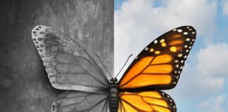 Meds vs. No Meds? My Search for Freedom of Mind