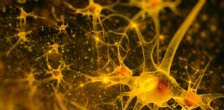 Tapered Antipsychotic Withdrawal Mitigates Risk of Psychotic Symptoms