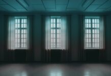 From Maggie’s Love to IDHS Hell by Marci Webber