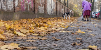 Antipsychotics Increase Risk of Dementia; New Research Illuminates Why