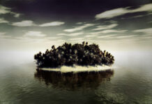 NGRI: The Gilligan’s Island of the Criminal Justice System NGRI island