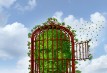 Coercion and Dehumanization in Mental Healthcare