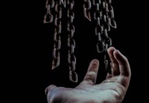 Everything is Tammy by Ms. Dangerfield