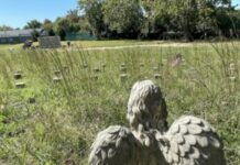 Restoring ‘Respect & Dignity’ to 777 Souls Who Died at Delaware Psych Hospital