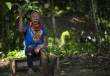 Indigenous Healing Poses a Challenge and Opportunity for Global Mental Health