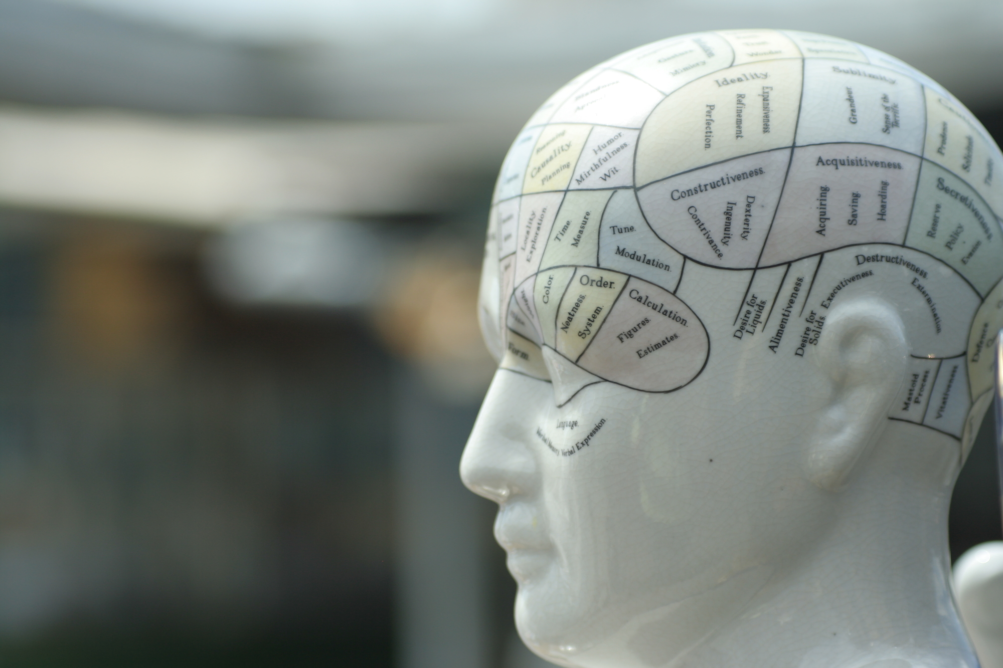 Person-Centered Approach to Psychopathology Eschews Diagnosis - Vimarsana News