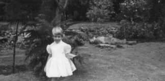 Fatherland Dreamland Motherland Hinterland power threat meaning