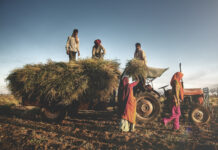 Psychiatry and Psychology Fail in Response to Farmer Suicides in India India Family Farming Harvesting Crops Harvesting