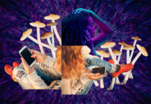 Fireside Project: Peer Support for Psychedelic Experiences A collage depicting women using cell phones and hallucinogenic mushrooms, against a psychedelic purple background