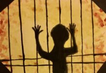 The Other Side of the Cage