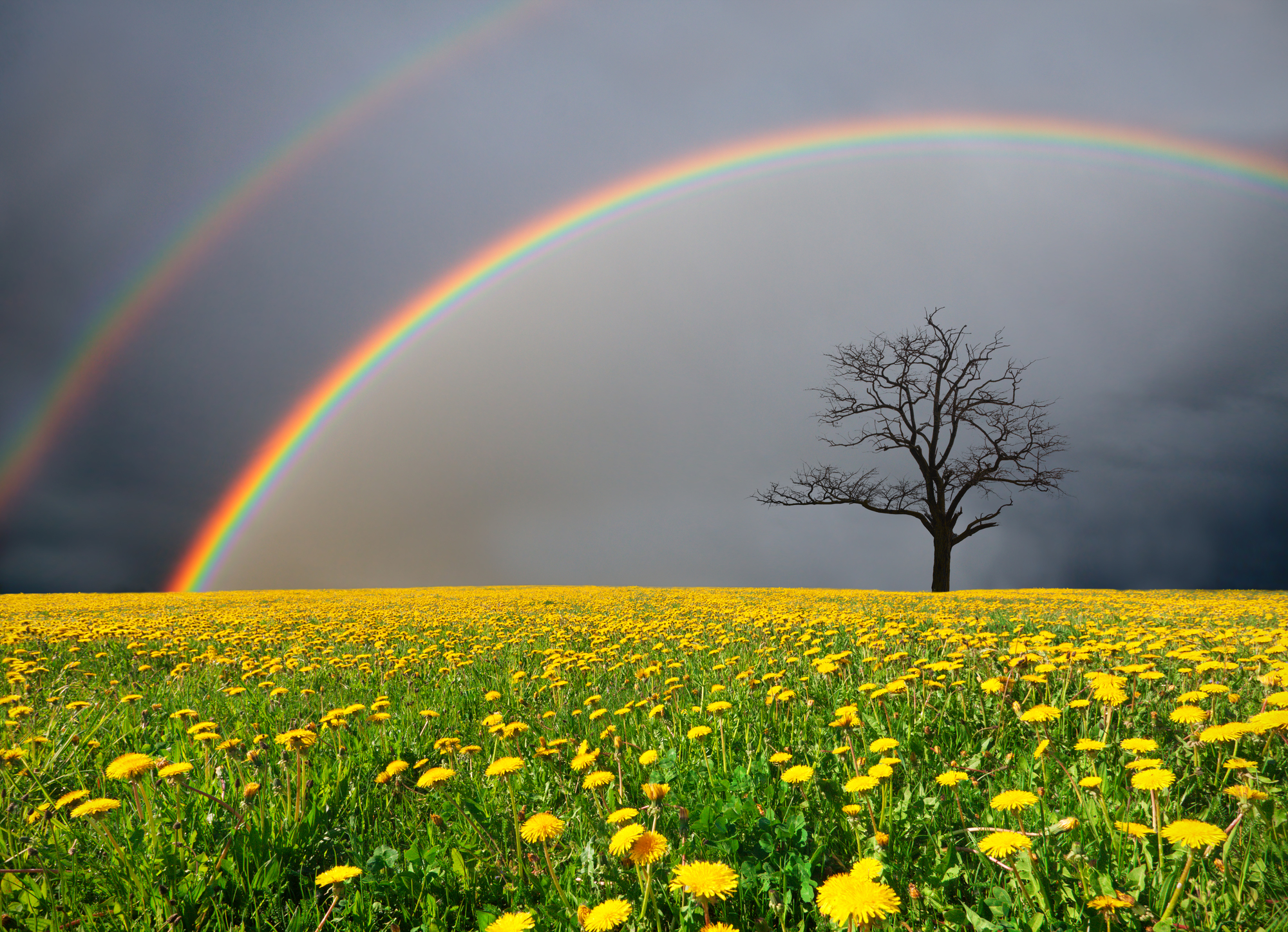 August 20, 1985: The Day My Psychotic Episodes Ended - Vimarsana News