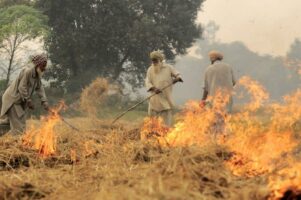 Suicide, Indian Farmers, Indigenous North Americans... and the Shame of Shrinks - Vimarsana News