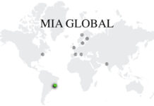 Mad in Brasil