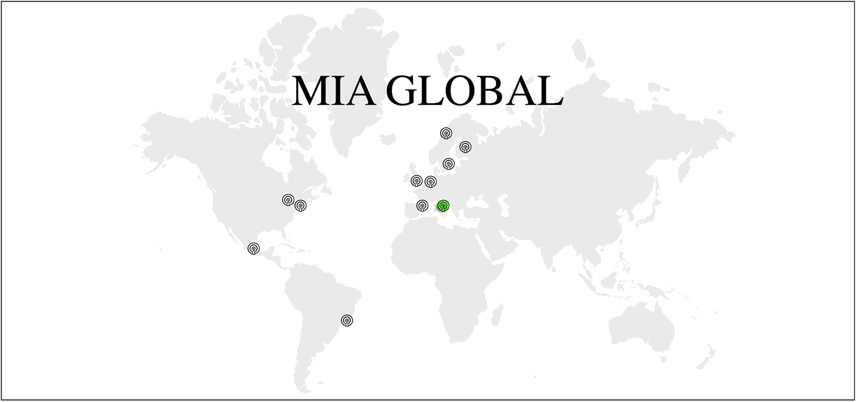 A Profile of Mad in Italy - Mad In America - Vimarsana News