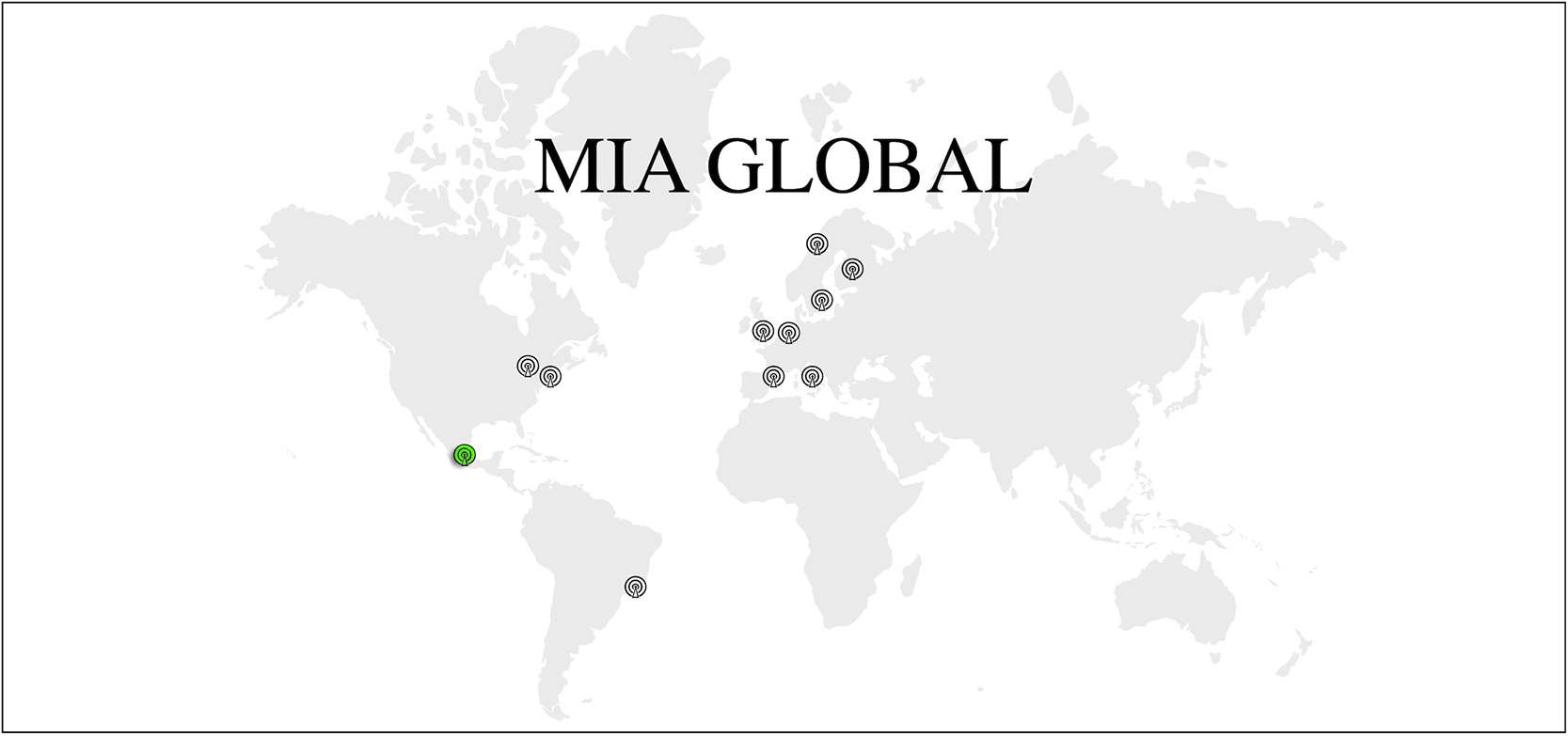 A Profile of Mad in México - Mad In America - Vimarsana News