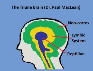 'A General Theory of Love,' Part 1: How Mammal Brains Work - Vimarsana News