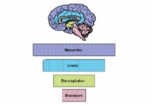 Rhythm Regulates the Brain: The Impact of Music (& More) on Mental Health