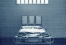 The Observation Room