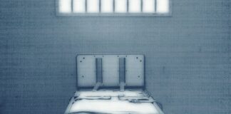 The Observation Room