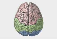 Do You Still Believe in the “Chemical Imbalance Theory of Mental Illness”? | Bruce Levine, PhD
