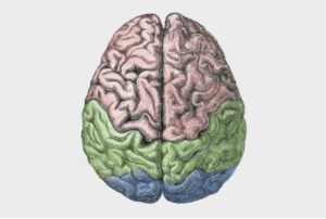 Do You Still Believe in the "Chemical Imbalance Theory of Mental Illness"? | Bruce Levine - Vimarsana News
