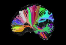 ‘Mental Illness’ Is Not in Your Head