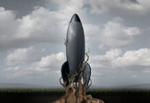 Researchers: Study of Schizophrenia Held Back by “Cult-Like” Belief System Rooted down concept with an aging rocket ship being held down by growing tree roots