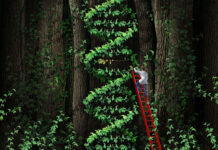 No Better Outcomes After Testing for Antidepressant Drug-Gene Interactions Illustration depicting a double helix made of leaves in a forest. A person in a lab coat stands on a ladder to interact with it.