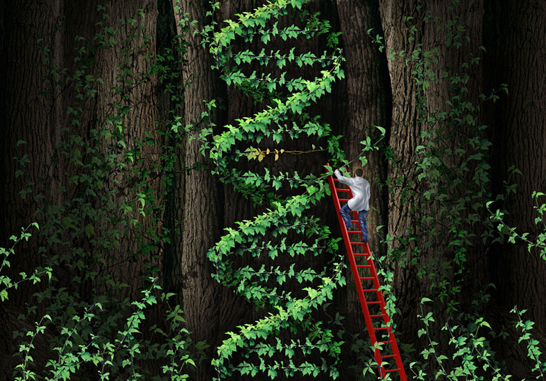 Illustration depicting a double helix made of leaves in a forest. A person in a lab coat stands on a ladder to interact with it.