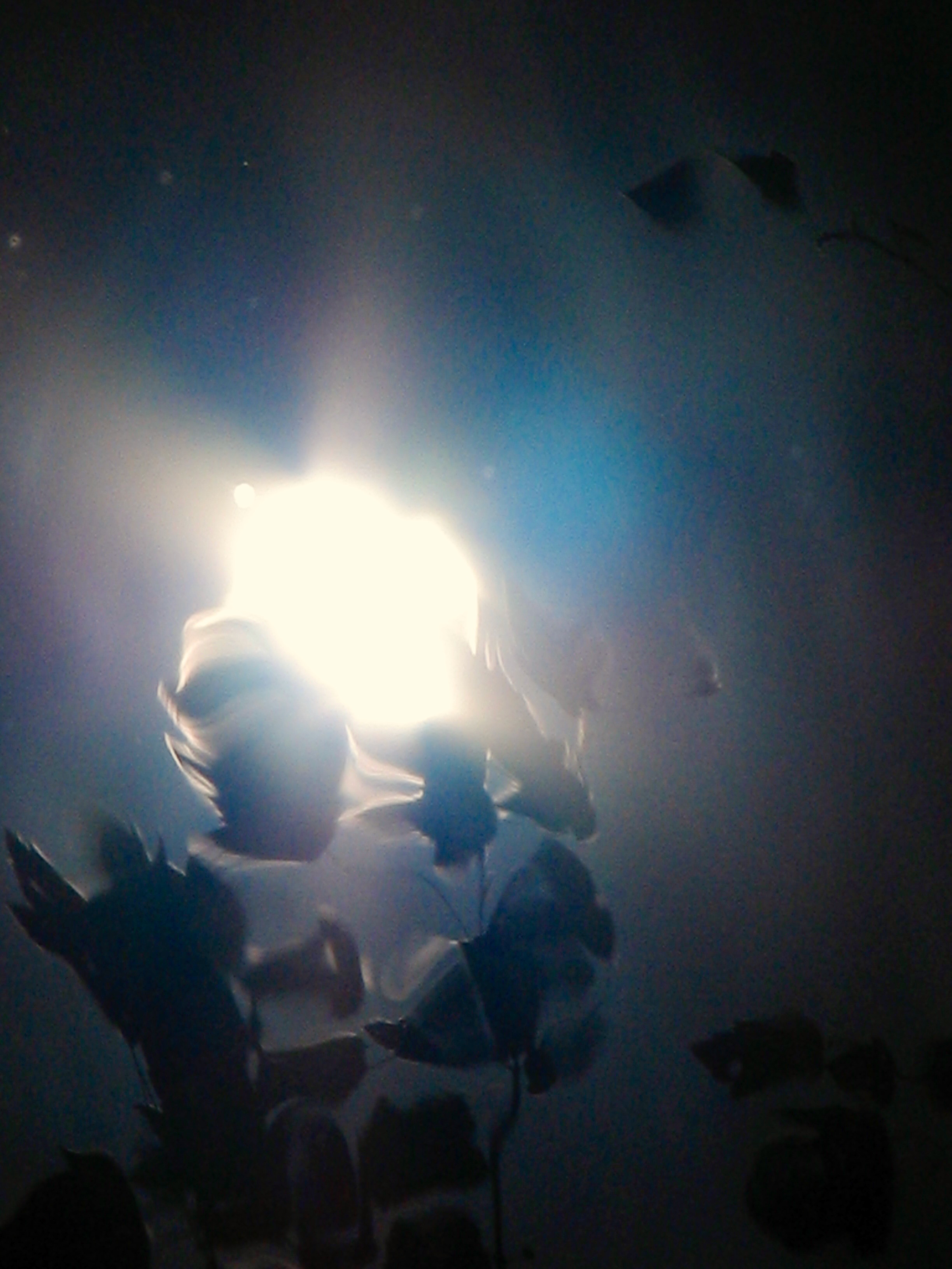 Light through water