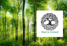 The Mad in the World Network: A Global Voice for Change