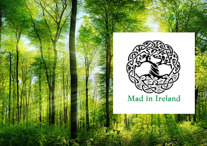 The Mad in the World Network: A Global Voice for Change - Vimarsana News