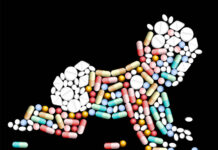 Health Risks to Babies When Antidepressants Used During Pregnancy Illustration of a shape of a baby crawling made out of various types of pills, on a black background