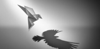 Black and white illustration of a flying origami bird with a giant realistic bird for a shadow