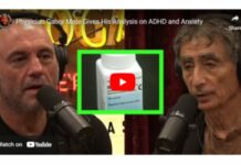 Dr. Gabor Maté on the Truth About ADHD and Anxiety