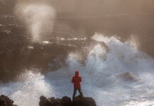 The Post-Lockdown Suicide Tsunami That Never Came