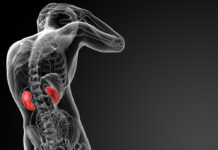 Lithium Use Leads to Chronic Kidney Disease