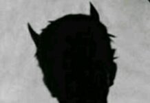 Satan’s Shadow by Adam Slosberg