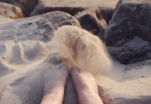 Rub My Feet by Rod McDonald