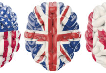 Neuropolitics: Understanding Politics Through Neuroscience is a Dangerous Affair