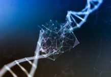 The Schizophrenia Genetics Illusion—A Century of Failure and Hype 3D illustration of white DNA double helix against dark blue background. The center of the helix is erupting into a computer-network-like shape