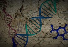“Hidden Valley Road” and Schizophrenia: Do Genes Tell the Story? Illustration depicting dna strands and molecule chains