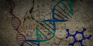 “Hidden Valley Road” and Schizophrenia: Do Genes Tell the Story? Illustration depicting dna strands and molecule chains
