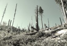 I Can Barely Breathe