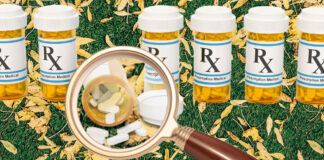 A New Paradigm for Testing Psychiatric Drugs Is Needed Illustration depicting prescription bottles on a grass background. One is tipped over and a magnifying glass examines the spilled pills