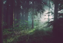 Untitled Short Story by Jill Donnell