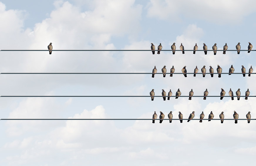 Illustration depicting birds on wires. One bird sits far apart from the crowd.